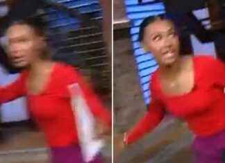 Earthquake Hits Los Angeles Live Broadcast: Reporter Caught in Tremors news-12082024-234121