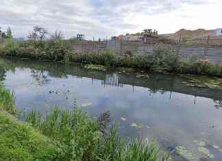 Testing Canal for Cyanide & Chemicals: Major Incident in Walsall news-14082024-094859