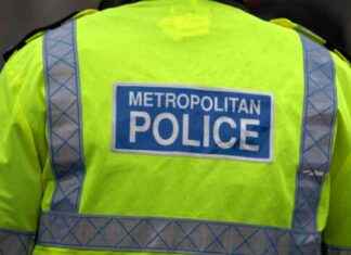 Charges filed against 19-year-old woman and 18-year-old man for planning terrorist acts news-16082024-115415