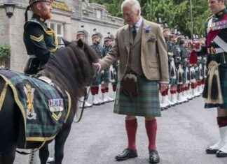 King Pats Shetland Pony Mascot in Balmoral Arrival Ceremony news-19082024-231338