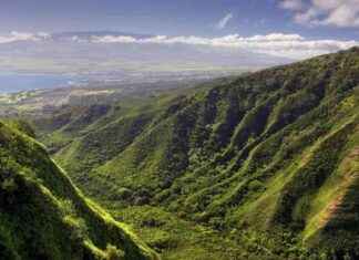 Unexplained Twilight Zones Found Underground: Mystery Deepens in Scientific Community news-25082024-122359