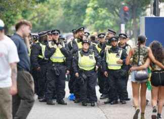 Notting Hill Carnival Violence: Police Frustrated with Repeat Offenses news-27082024-002733