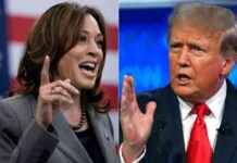 Survey Reveals 40% of Young Workers Willing to Quit Job Due to Political Differences news-31082024-130837