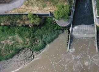 Water Pollution Laws: Jail Time for Sewage Dumping news-05092024-012452