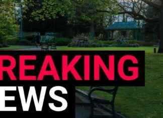 Four-Year-Old Girl Attacked by Two XL Bullies in Park news-10092024-100632