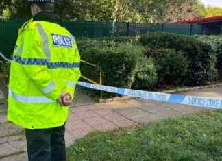 Teenager Charged with Murder in Luton: Woman and Two Children Killed news-15092024-074945