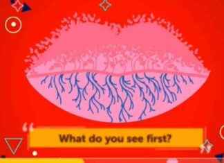 Understanding Optical Illusions: How They Shape Your Perception news-15092024-075033