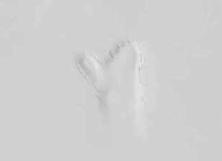 Enigmatic Ghostly Figure Found Under Greenland Ice Baffles Scientists news-18092024-133834