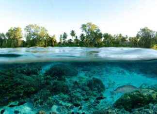 Ancient Underwater Catastrophe Devastated Life Forms 250 Million Years Ago news-21092024-121817