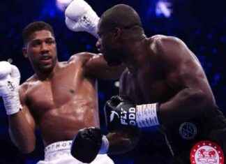 Daniel Dubois Shocks Anthony Joshua, Boxing Future Uncertain news-22092024-054440