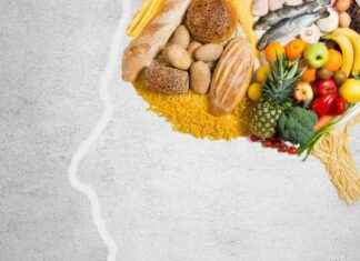 Exploring the Benefits of the MIND Diet for Memory Improvement news-23092024-164753