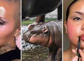 Rose-Cheeked Beauty Trend Inspired by Viral Hippo, Moo Deng news-29092024-224740