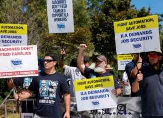 Port Workers Reveal Their Preferred Candidate Over Kamala Harris news-06102024-160658