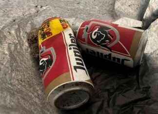 Accidental Disposal of Modern Art Piece by Museum Visitor: A Costly Mistake news-10102024-050434