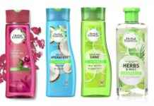 UK Shoppers Criticize Herbal Essences Shrinkflation: Bottles Reduced to 275ml, Still £2 news-12102024-174553