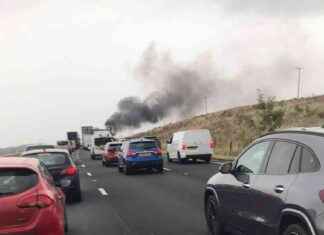 Tragic M6 Crash Kills Five, Including Two Children news-16102024-153753