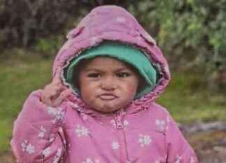 Arrests Made in Toddler Murder Case in Northern Ireland news-16102024-214139