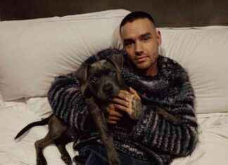 Liam Payne’s Erratic Behavior: Laptop Throwing Incident and Trip to Argentina to Meet Niall Horan news-17102024-034241