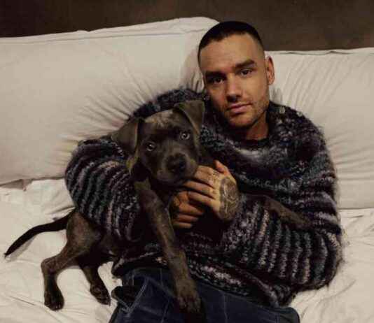 Liam Payne’s Erratic Behavior: Laptop Throwing Incident and Trip to Argentina to Meet Niall Horan news-17102024-034241