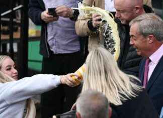 Title: Woman Pleads Guilty to Assault for Throwing Milkshake at Nigel Farage news-21102024-165822