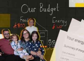 Navigating Financial Hardship: Impact of Budget on Working Individuals news-29102024-130402