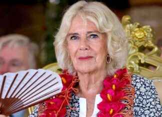 Queen Elizabeth II to miss Remembrance Day events – Importance and Impact news-09112024-223832