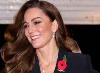 Princess of Wales Attends Festival of Remembrance with Senior Royals – Return to Public Duties news-10112024-044301