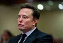 Elon Musk Seeks ‘Super High-IQ Revolutionaries’ for DOGE Project: Unpaid 80+ Hour Work Week news-15112024-044645