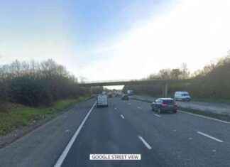 Tragic Accident: Teenage Girl Killed on M5 in Somerset news-15112024-044707