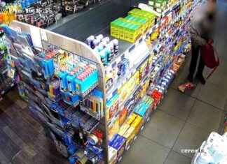 Shoplifting Crisis: Workers Desperate for Help as Theft Soars news-20112024-070157