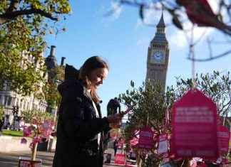 Assisted Dying: A Revolutionary Shift in Society’s Perspective on End-of-Life Decisions news-30112024-053113