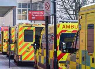 Flu Surge Overwhelms A&E Departments, Top Medic Warns – Crisis Update flu-surge-overwhelms-ae-departments-top-medic-warns-crisis-update