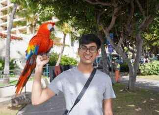 Innocent Son of OpenAI Whistleblower Mourned by Grieving Mother: A Heartbreaking Tale nnocent-son-of-opena-whistleblower-mourned-by-grieving-mother-a-heartbreaking-tale