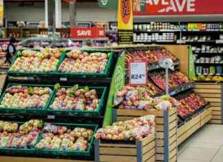 SNAP Benefits Schedule and Payouts for January 2025 snap-benefits-schedule-and-payouts-for-january-2025