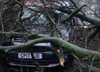 Sunday Weather Warnings: Storm Darragh aftermath and fresh alerts sunday-weather-warnings-storm-darragh-aftermath-and-fresh-alerts