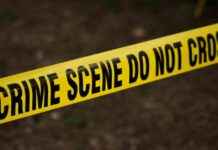 Tragic Incident: Saudi Driver Causes Deadly Accident at German Christmas Market tragic-ncident-saudi-driver-causes-deadly-accident-at-german-christmas-market