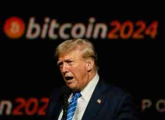 Buy Trump Coin: 1000% Surge Guide buy-trump-coin-1000-surge-guide