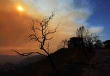List of Celebrities Who Lost Homes in LA Fires list-of-celebrities-who-lost-homes-in-la-fires