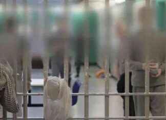 Chief Inspector of Probation Criticizes Reincarceration Trends in Prisons chief-nspector-of-probation-criticizes-reincarceration-trends-in-prisons