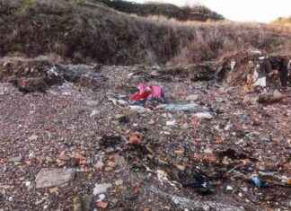 Illegal Waste Dumping on Beach: How Criminals Profit from Environmental Damage llegal-waste-dumping-on-beach-how-criminals-profit-from-environmental-damage