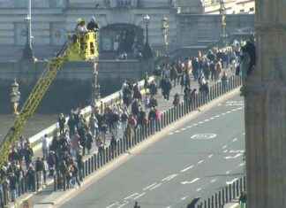 Protester climbs Palace of Westminster with Palestinian flag protester-climbs-palace-of-westminster-with-palestinian-flag