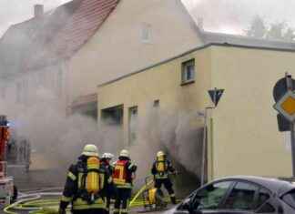 State Farm Executive Fired for California Fire Premium Hike Comments state-farm-executive-fired-for-california-fire-premium-hike-comments