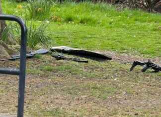 Man Arrested in Leeds Crossbow Incident Dies man-arrested-in-leeds-crossbow-ncident-dies