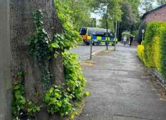 Arrests made in two terrorism investigations. arrests-made-in-two-terrorism-investigations