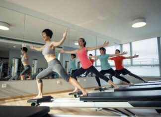 Consequences of Viral TikTok Fat-Shaming consequences-of-viral-tiktok-fat-shaming