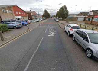 Five Injured in Stabbing Incident at Southeast London Music Event five-njured-in-stabbing-ncident-at-southeast-london-music-event