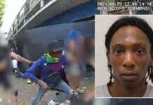 Life imprisonment for man who ‘brazenly’ murdered mother at Notting Hill Carnival life-imprisonment-for-man-who-brazenly-murdered-mother-at-notting-hill-carnival