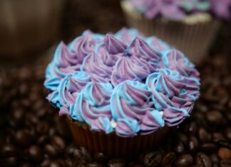 Curators Coffee London: Discover The Hidden Gems of Taste