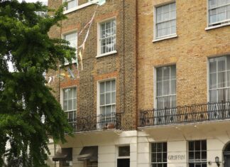 Lime Tree Hotel London: Is This The Perfect Boutique Stay?