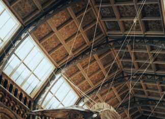 Crosby Hall London: Discover Its Hidden History and Charm Today